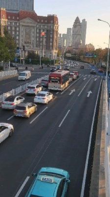 赤峰橋下狗市電話多少號(hào)-第1張圖片