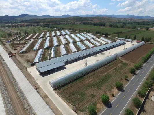 赤峰林西袋裝白灰廠電話號碼-第1張圖片