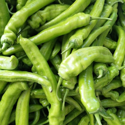 赤峰收購線椒電話是多少號-第1張圖片