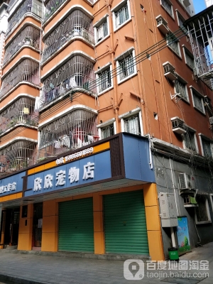 赤峰科比寵物店電話號碼-第1張圖片