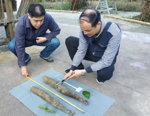 赤峰黑枸杞加工基地電話號(hào)碼-第1張圖片