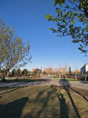 赤峰平莊孤兒院電話號(hào)碼-第1張圖片