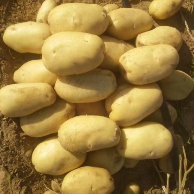 赤峰收購?fù)炼闺娫捥柎a多少號-第1張圖片