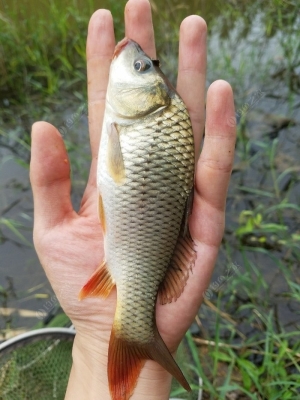 赤峰附近干河釣魚地點(diǎn)電話號碼-第1張圖片