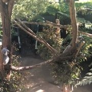 赤峰動物園團(tuán)購電話號碼-第1張圖片