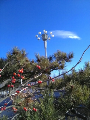 赤峰紅山區(qū)國(guó)泰賓館電話號(hào)碼-第1張圖片