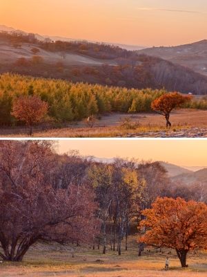 赤峰彩虹客棧電話多少啊-第1張圖片