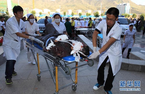 商都到赤峰的大巴電話號碼是多少-第1張圖片