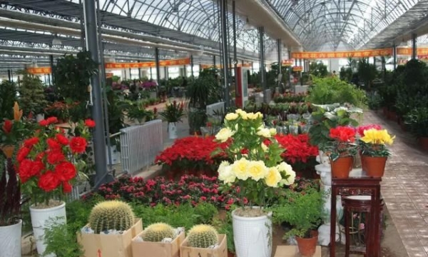 赤峰紅山鮮花店地址電話號碼-第1張圖片