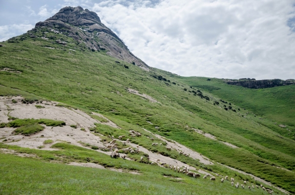 赤峰到順義的拼車電話號碼-第1張圖片