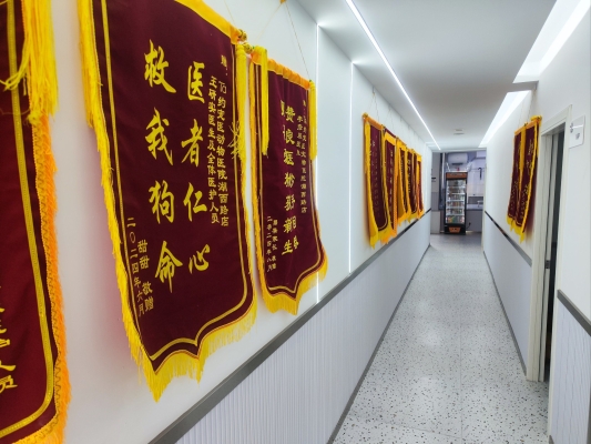 多格寵物醫(yī)院-第1張圖片