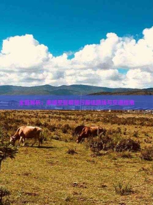 赤峰機(jī)場(chǎng)轉(zhuǎn)機(jī)政策查詢(xún)電話號(hào)碼-第1張圖片