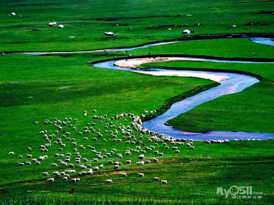 內(nèi)蒙赤峰蒺藜種植基地電話號(hào)碼-第1張圖片