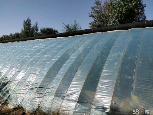 赤峰蔬菜加工設(shè)備廠電話號(hào)碼-第1張圖片