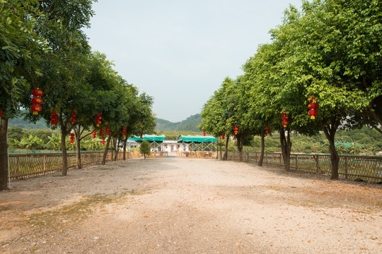 赤峰大棚農(nóng)家樂電話地址查詢-第1張圖片