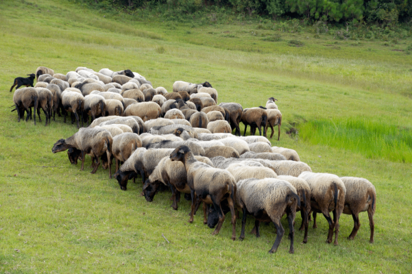 赤峰綿山駕校電話號碼是多少-第1張圖片