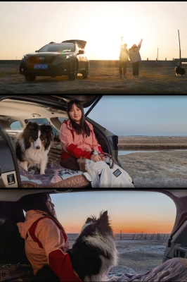 內蒙古赤峰上門遛狗電話號碼-第1張圖片