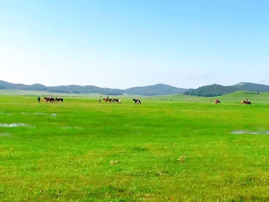 赤峰云彩制造廠電話地址查詢-第1張圖片