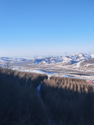 赤峰嶺上村李大夫電話號(hào)碼-第1張圖片