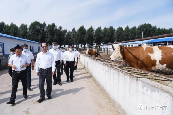 開魯縣至赤峰客車電話號碼-第1張圖片