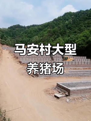 赤峰市養(yǎng)豬場聯(lián)系方式-第1張圖片