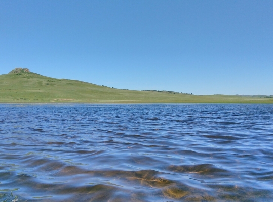 赤峰市佳鄉(xiāng)賓館電話號碼-第1張圖片