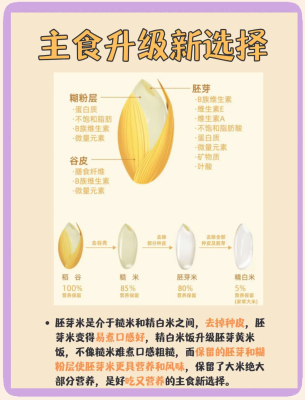 赤峰胚芽米廠家電話號碼-第1張圖片