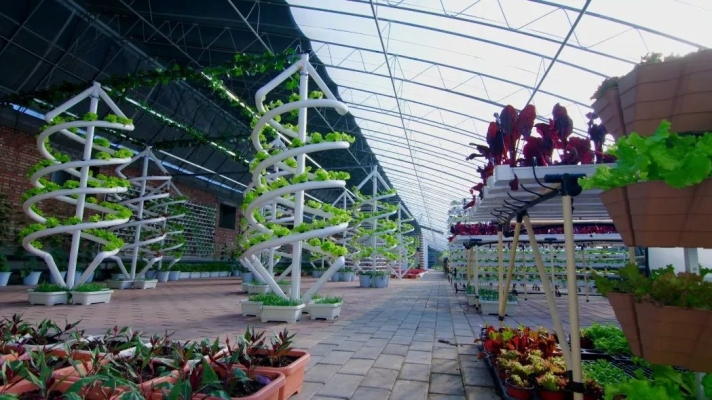 赤峰敖揚農(nóng)業(yè)聯(lián)系電話號碼-第1張圖片