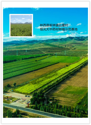 赤峰牛營子在哪里-第1張圖片