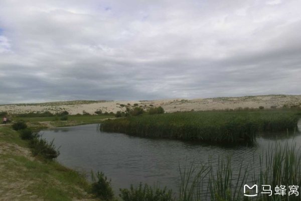 赤峰荷花池釣魚地點電話多少-第1張圖片