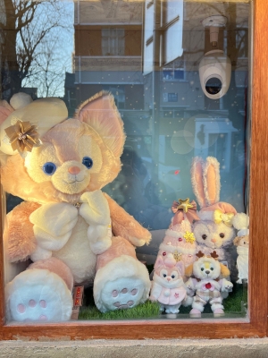 赤峰毛絨事務(wù)所地址電話號碼-第1張圖片