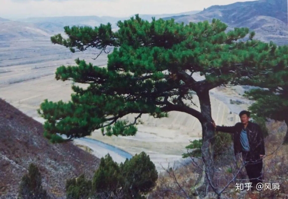赤峰橋頭馬架子飯店電話號碼-第1張圖片