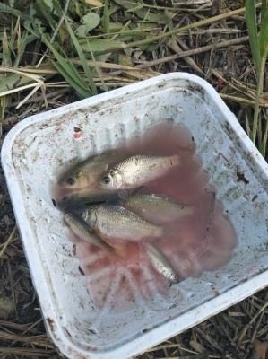 赤峰野釣俱樂部電話多少號(hào)-第1張圖片