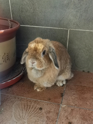 赤峰兔唇理發(fā)師招聘電話號(hào)碼-第1張圖片