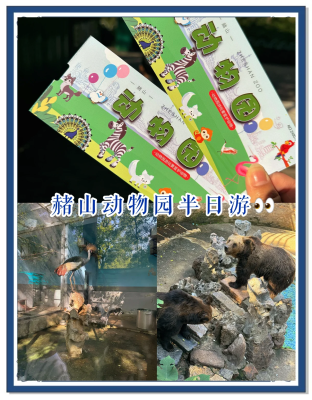 赤峰動(dòng)物園拍照地點(diǎn)電話號碼-第1張圖片