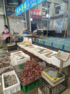 赤峰活海鮮批發(fā)市場-第1張圖片