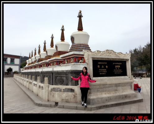 赤峰綠洲沙漠酒店電話號(hào)碼多少-第1張圖片