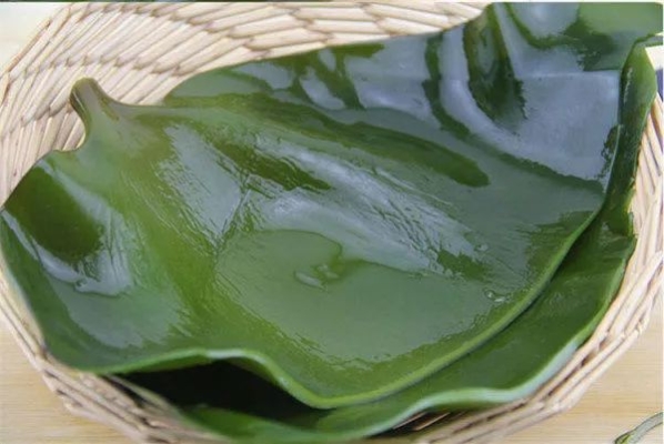 赤峰海藻酸碘廠家地址電話號碼-第1張圖片