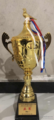 赤峰獎(jiǎng)杯訂制廠家電話地址查詢-第1張圖片