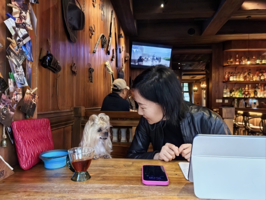 赤峰寵物行業(yè)加盟電話多少號-第1張圖片