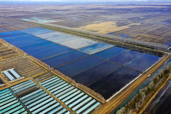 赤峰三畝農(nóng)莊電話多少號-第1張圖片