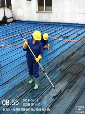 赤峰安琪酵母糖蜜廠電話號(hào)碼-第1張圖片