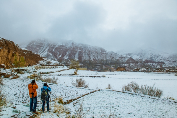 赤峰到貴德貨車電話號碼多少-第1張圖片