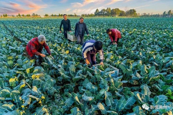 赤峰銅廠用磚廠電話號碼查詢-第1張圖片