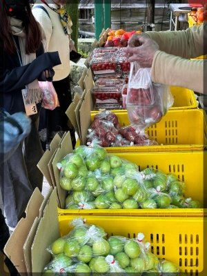 赤峰鐵南夜市招商電話號碼-第1張圖片