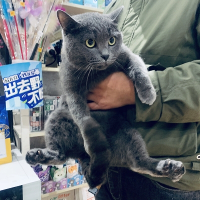 赤峰美迪寵物醫(yī)院電話號碼-第1張圖片