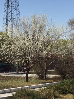 赤峰回敖漢網(wǎng)約車電話號碼-第1張圖片