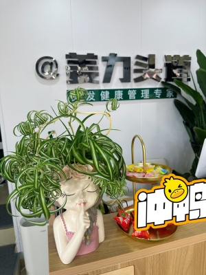 赤峰專業(yè)洗護(hù)頭發(fā)店電話號(hào)碼-第1張圖片