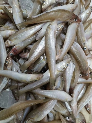 赤峰市水產(chǎn)超市電話(huà)號(hào)碼-第1張圖片