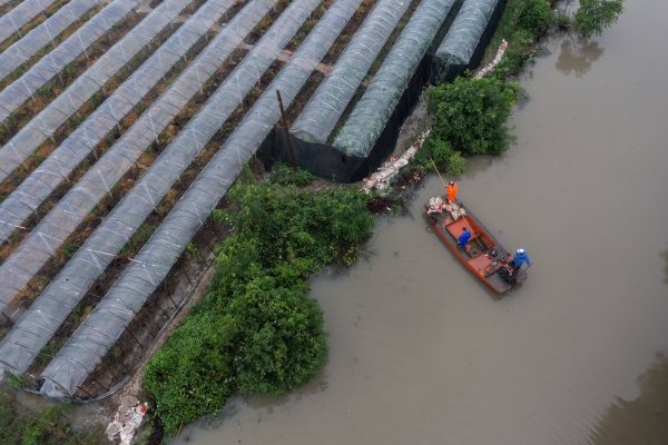 赤峰牛營子煙花廠電話號碼-第1張圖片